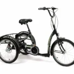 Tricycle adolescent Freedom